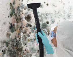 Best Mold Documentation for Insurance Claims in Ashtabula, OH